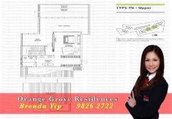 Orange Grove Residences (D10), Condominium #46069402